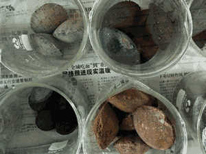 煤炭输送机系统供应商